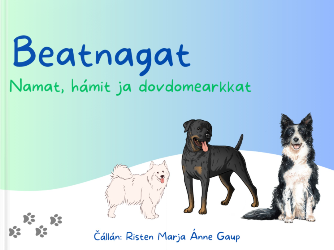 Beatnagat. Namat, hámit ja dovdomearkkat