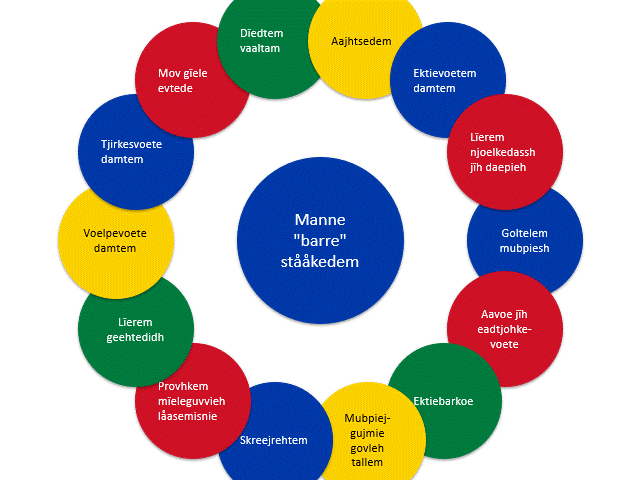 Boblediagram på lulesamisk. Den forteller om noen viktige deler ved leken.